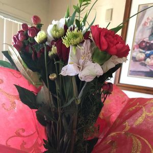 Meet your Posher, Catalina